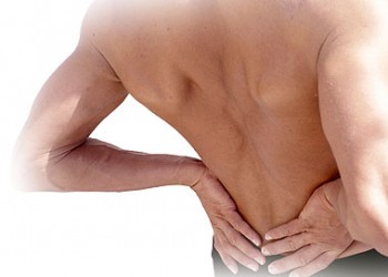 anatomia prostatei exerciții kegel pentru prostatită